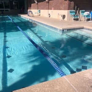 Meet your Posher, Dolores